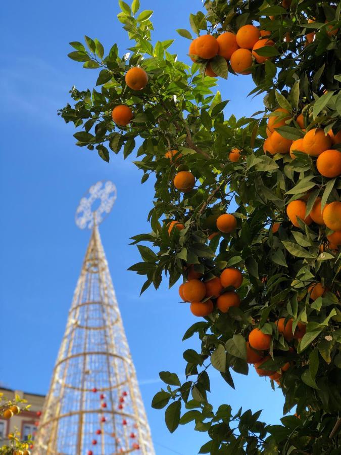 Picasso City Center 1A Малага Экстерьер фото